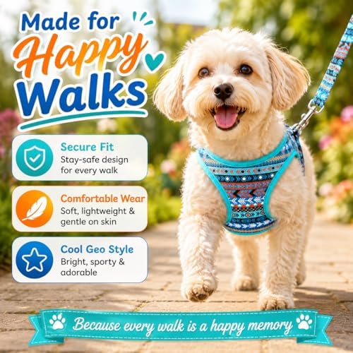 Step in Air Dog Harness Leash Set- All Weather Reflective No-Pull Padded Mesh - Image 4