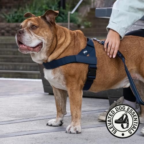 Dog Friendly Co. Dog Harness for Medium Dogs - Image 5