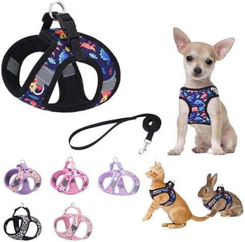 Small Dog Harness Black Dinausor No Pull Step in Harness by KocaPlye