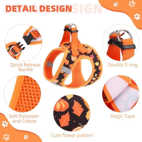 KOOLTAIL Fall Dog Harness and Leash Set - Image 2
