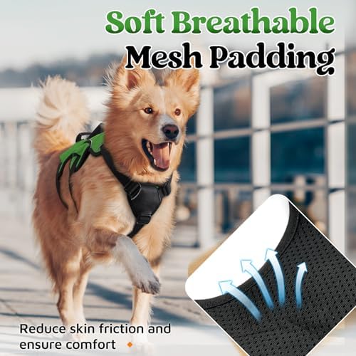 rabbitgoo Escape Proof Dog Harness - Image 6