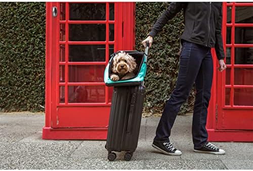 Sleepypod® Air, Airline Approved Cat/Dog Carrier, Crash Tested, Olive Green - Image 6
