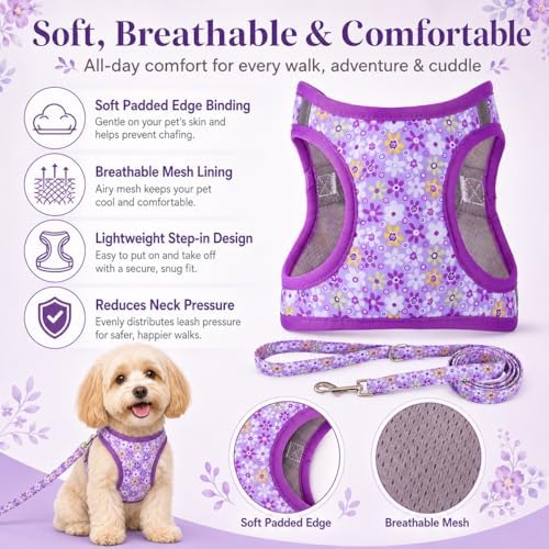 Step in Dog Harness Leash Set- All Weather Reflective No-Pull Floral Pattern - Image 2