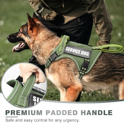 WINSEE Tactical Dog Harness, No Pull Dog Harness - Image 3