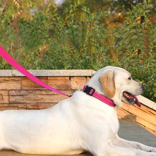 6 FT Basic Dog Leash for Large Dogs, Hot Pink - Image 3