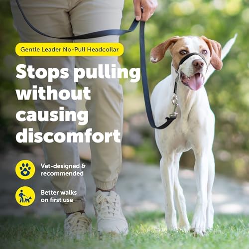 PetSafe Gentle Leader No Pull Dog Headcollar - Image 2
