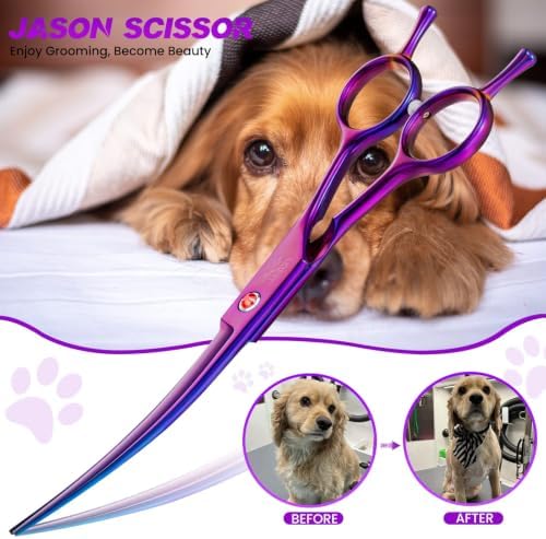 JASON Curved Dog Grooming Scissors - Image 2