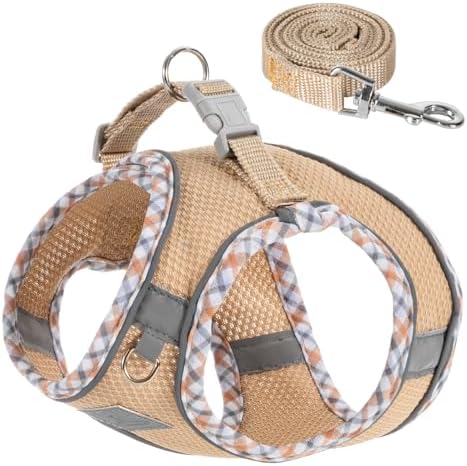 Dog Harness and Leash Set by TomteNisse