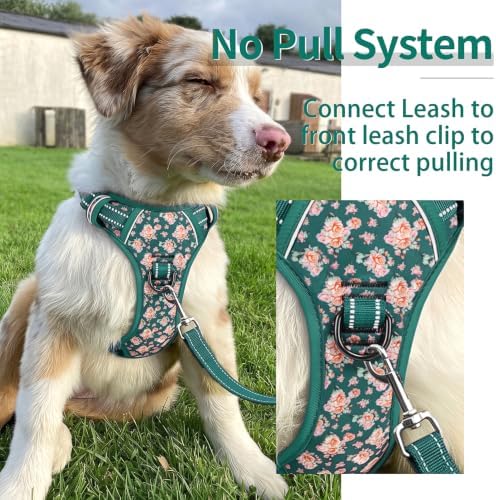 HEELE Dog Harness, Reflective, No Pull No Choke, Flower Grass Green - Image 4