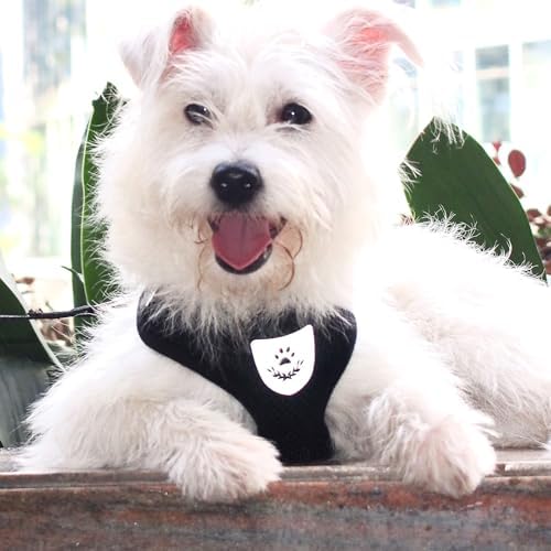 Hypeety Dog Vest Harness No-Pull Reflective Step-in Air Mesh Vest - Image 6