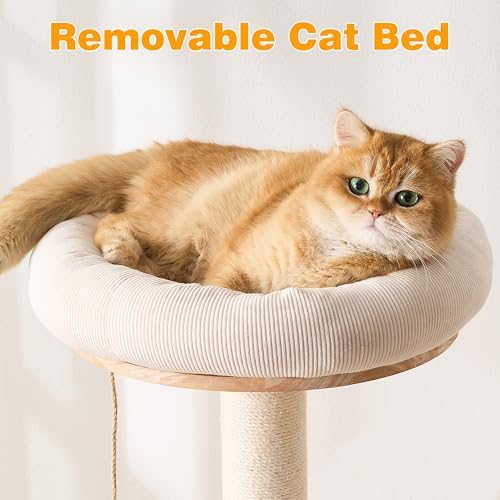 HITTITE Solid Wood Cat Tree Tower - Image 5