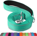 Joytale Reflective Dog Leash for Small Dogs, 4 FT x 3/4" by Joytale