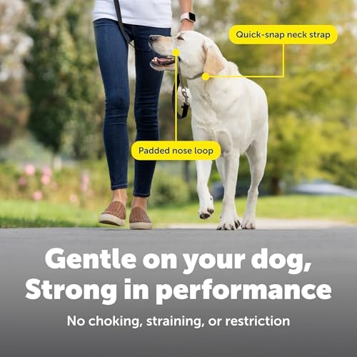 PetSafe Gentle Leader No Pull Dog Headcollar, Apple Green - Image 4