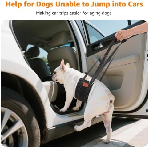LOOBANI Portable Dog Sling for Small Dogs Hind Leg Support Weak Rear Legs - Image 3