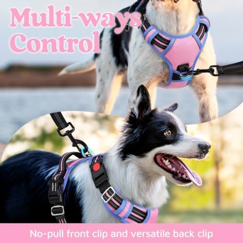rabbitgoo Dog Harness Medium Sized, No Pull 3 Buckles Easy On & Off - Image 3
