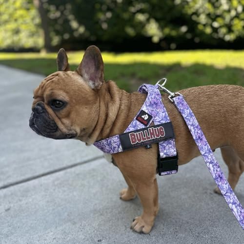 BULLHUG Adjustable Dog Harness– No Pull, No Choke – - Image 3