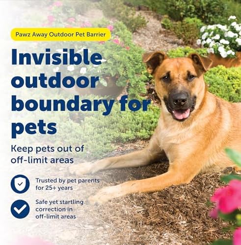 PetSafe Pawz Away Outdoor Wireless Pet Barrier, Electric Training System - Image 2