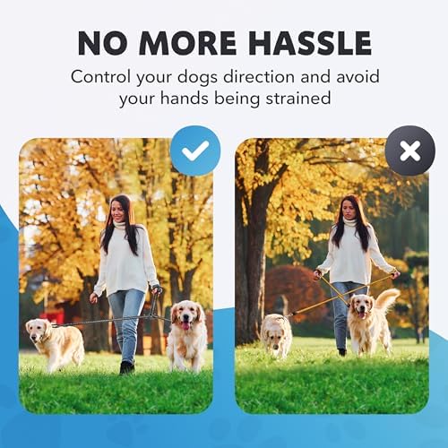 Dog Leash – Dual Reflective - Image 6