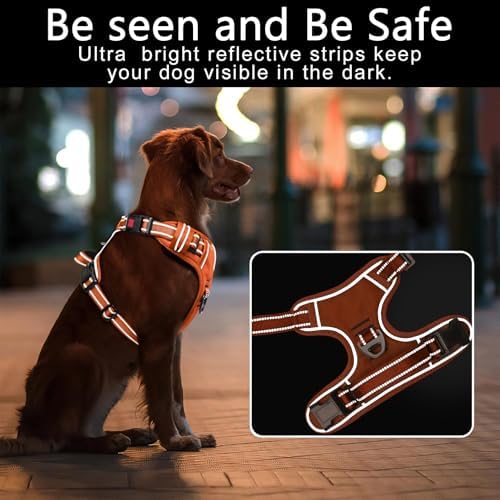 Timos Dog Harness Small Sized, Neck Quick Release - Image 3