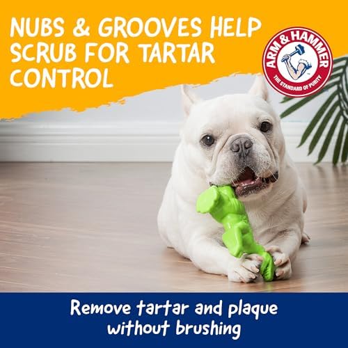 Arm & Hammer Nubbies T-Rex Dog Dental Chew Toy, Mint Flavor - Image 3