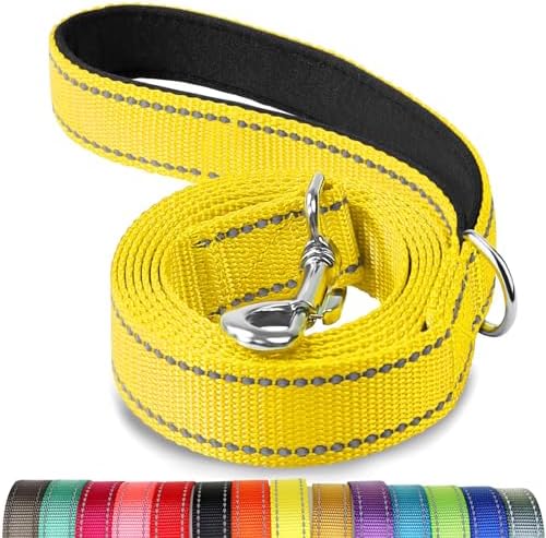 Joytale Reflective Dog Leash for Medium & Large Dogs, 5 FT x 1" by Joytale