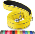 Joytale Reflective Dog Leash for Medium & Large Dogs, 5 FT x 1" by Joytale