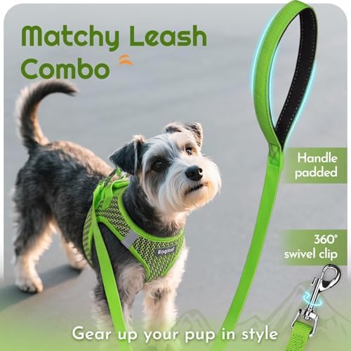Eagloo Small Dog Harness and Leash Set, Step in Medium Small Puppy Pet Vest - Image 6