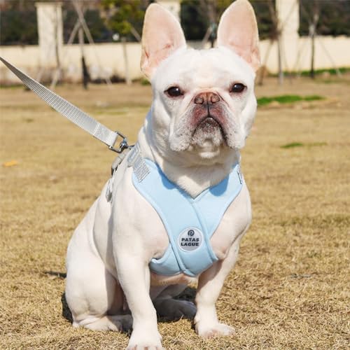 Patas Lague Dog Harness Small Sized Dog Pet Vest - Image 2
