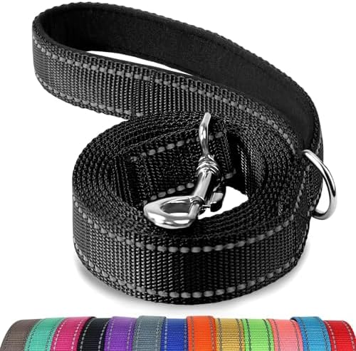 Joytale Reflective Dog Leash for Medium & Large Dogs, 4 FT x 1" by Joytale