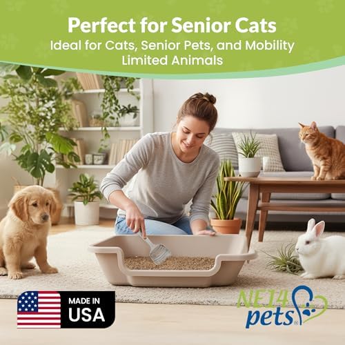 KittyGoHere 2.0 Easy Entry Cat Litter Box, 2 Pack Large Misty Gray - Image 3
