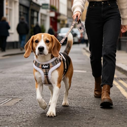 PUPTECK Dog Harness and Leash Set Medium Sized, Step in No Pull Adjustable - Image 6