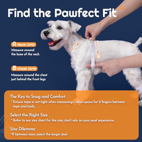 Eagloo Small Dog Harness and Leash Set, Step in Medium Small Puppy Pet Vest - Image 2