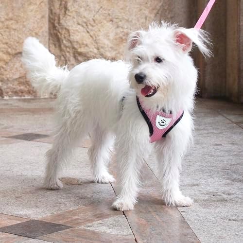 Hypeety Dog Vest Harness No-Pull Reflective Step-in Air Mesh Vest - Image 6