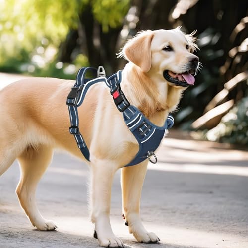 Timos Dog Harness, No Pull Large Sized - Image 6