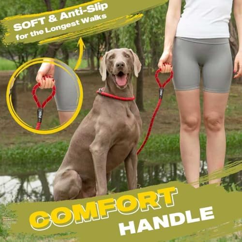 Fida Durable Slip Lead Dog Leash, 6 FT x 3/8" Dog Training Leash - Image 6