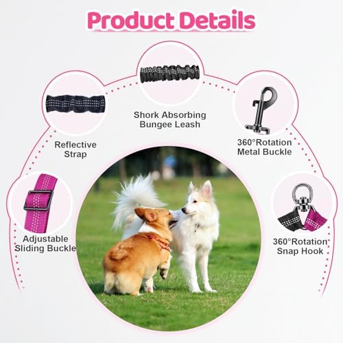 Double Dog Leash - Image 3