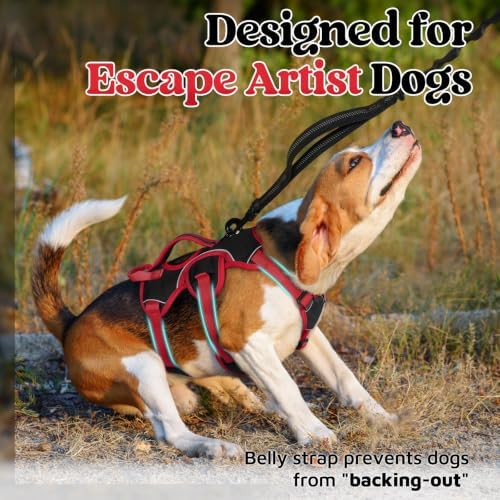 rabbitgoo Escape Proof Dog Harness - Image 2