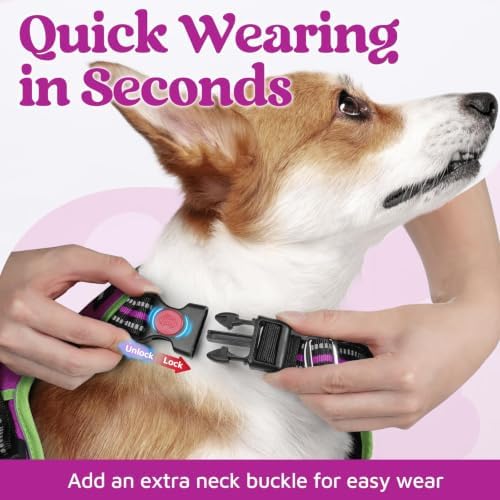 rabbitgoo Dog Harness for Large, No Pull 3 Buckles Easy On & Off - Image 2