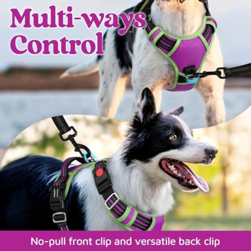rabbitgoo Dog Harness Medium Sized, No Pull 3 Buckles Easy On & Off - Image 3