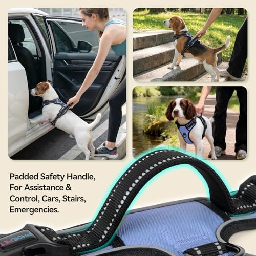PHOEPET No Pull Dog Harness Reflective Adjustable - Image 5