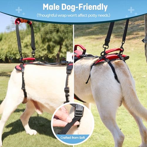 Dog Lifting Harness for Medium Dogs, Dual Handle Dog Support Harness for Daily - Image 3