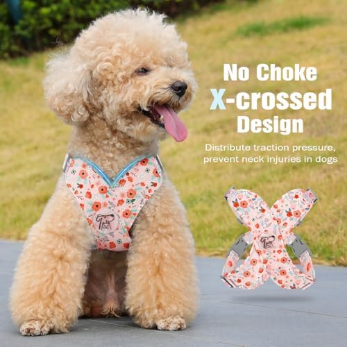 Pawaboo Small Dog Harness and Leash Set, Puppy Harness X-Frame Adjustable - Image 3