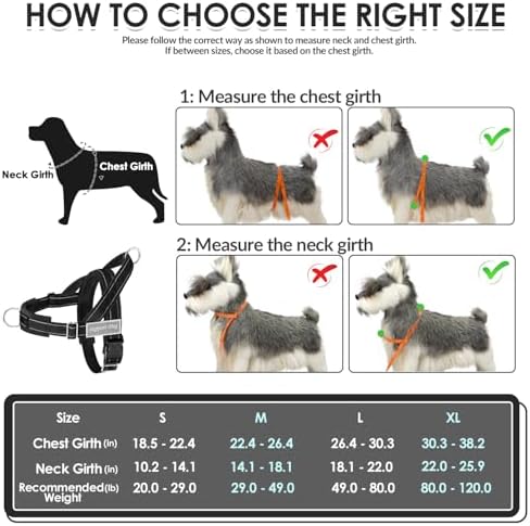 SlowTon No Pull Dog Harness and Leash Set - Image 6