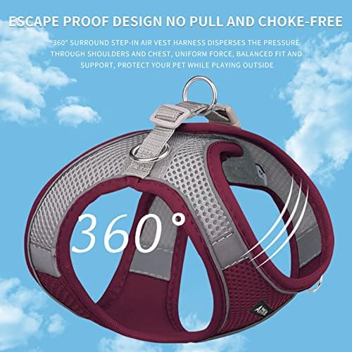 AIITLE Dog Harness and Leash Set, Step-in Puppy Pet Vest, Burgundy XXS - Image 3