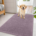 OLANLY Dog Door Mat for Muddy Paws 44x32, Super Absorbent Chenille Mud Mat by OLANLY