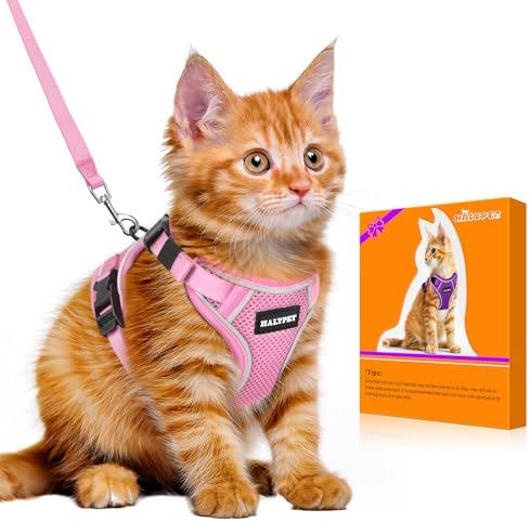 Cat Harness and Leash Set, Escape Proof Kitten Harness by DOMoreWithYourPet