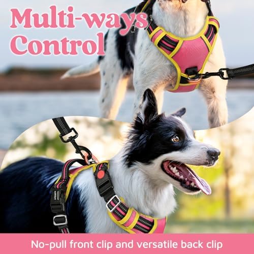 rabbitgoo Dog Harness for Large, No Pull 3 Buckles Easy On & Off - Image 3