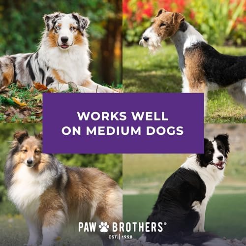Ryan's Pet Supplies Paw Brothers Nail Clipper - Image 6