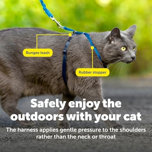 PetSafe Come with Me Kitty Harness and Bungee Cat Leash, Royal Blue - Image 6
