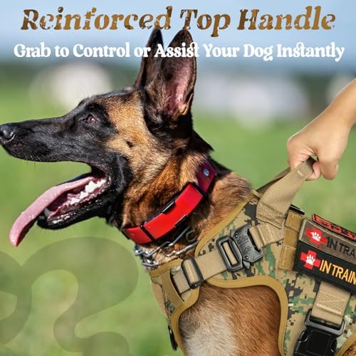 rabbitgoo Tactical Dog Harness for Large, Heavy Duty Military No Pull Vest - Image 3